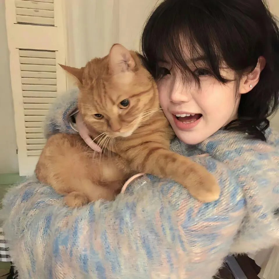 美国叛徒：轴心莎莉的审判